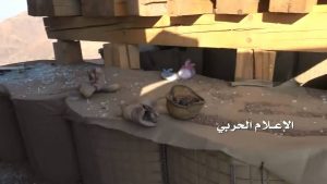 1277900_1488947234745648_6775202453684361699_o