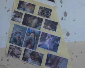 12506672_580137598817834_1671601927_n