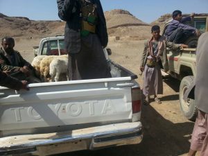 12539928_231212257210586_1054110842_n