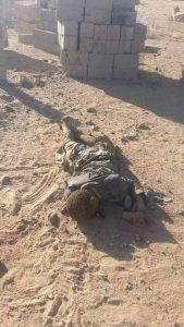 12583738_1498352370471801_1716774992_n