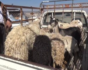 12596400_1499490467024658_1272937244_n