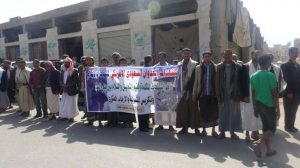 12596798_235412106790601_260846738_o