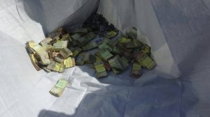 12633008_234916870173458_1328229507_o