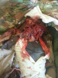 photo_2016-01-10_18-46-14