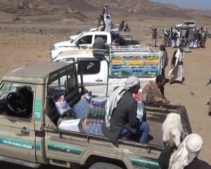 12077217_247481918916953_230993772_n