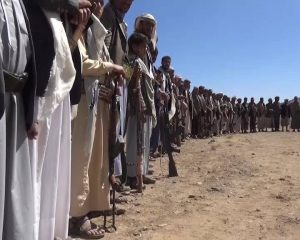 12421812_247482002250278_15804507_n