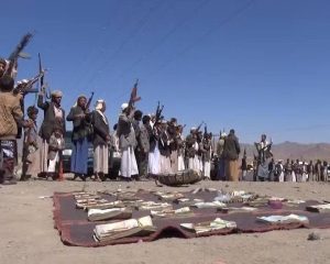 12442854_247480632250415_1347256717_n