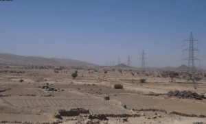 12496197_882164795235652_1326286794336716957_o