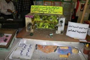 12596119_239251279740017_1138107202_n