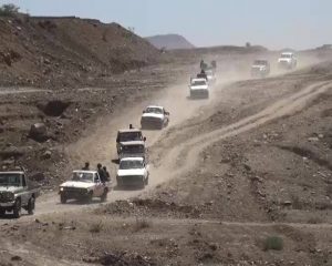 12735970_247482035583608_271308443_n