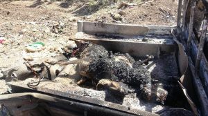 12745911_1508877182752653_7071971317308617183_n