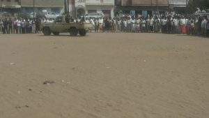 12752225_248445178820627_196205165_o