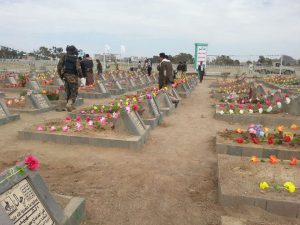 12767403_249815902016888_1829019526_n