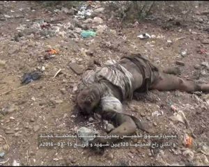 12071766_952376831536312_356740648_n