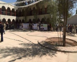 12325262_259755254356286_985904255_n