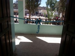 12476355_260813207583824_1346771138_n