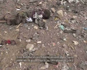 12498484_952376828202979_1824288131_n