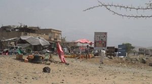 12516884_260888790909599_608501797_o