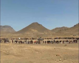 12782195_259761874355624_1021728932_n