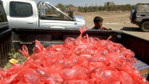 12789995_255750931423385_497618758_o