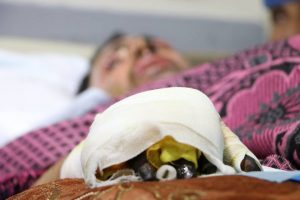 12832350_1740397266247094_1566151333489676443_n