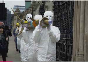 12833216_1038744732854078_1311835305_n