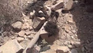 12939263_1100574309966059_1951909927_n