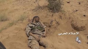 12952797_1522282438078794_660020345_o