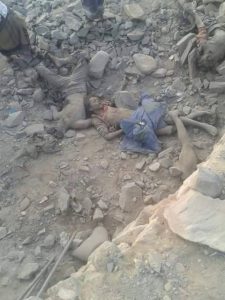 13487575_1791903321096488_1099803314_n