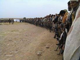 13511471_315134945484983_819522232_n