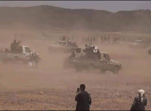 13820546_538849126239998_107736279_n