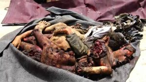 13909006_1561633244143713_1056317656336226658_o