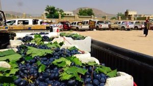 13942701_862932160506621_1714427748_n