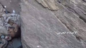 13989704_636959246465017_204166079_n