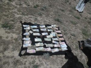 14159221_348751028790041_697927987_n