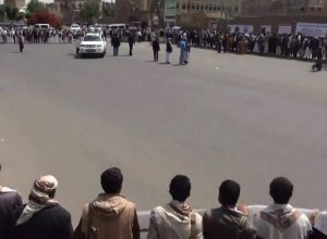 14194193_354271258238018_1642461462_n