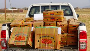 14215658_354790761519401_1185542478_o