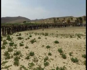 14256238_353715458293598_761145091_n