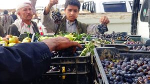 14285072_354790608186083_1662729450_o