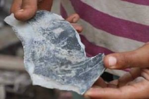 14355765_188853824858281_672586090123689644_n