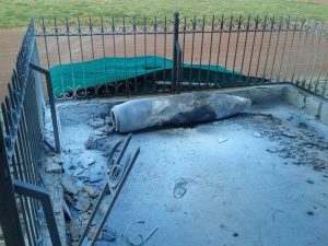 14365503_883134951819675_2008154590_n-1