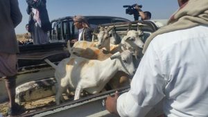 14384083_360584567606687_1260193477_n