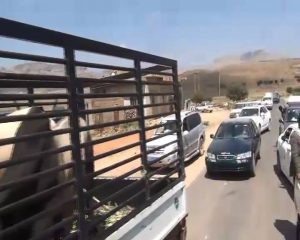 14397400_361231544208656_1980647650_n