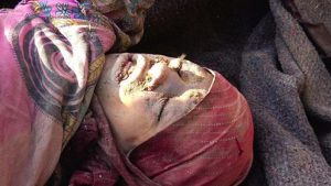 14429197_891190871014083_168900784_n