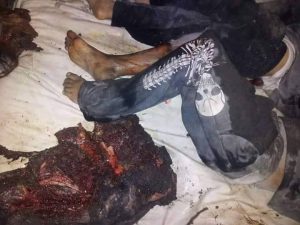 14483507_1577650219208682_1876442236_n