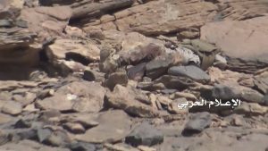 14627968_904137259719444_333803510_n