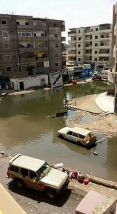 14666291_950424245061467_3299197561120977673_n