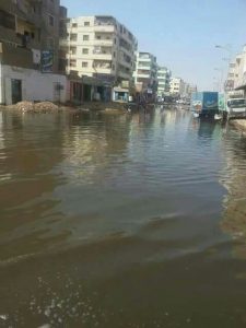 14681813_950423481728210_1302829170653072054_n