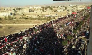 14686676_374272926237851_450502878_n