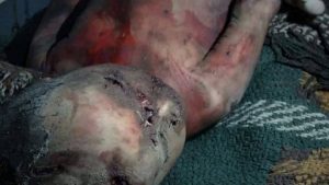 15227856_142694272876101_463795466_n